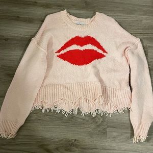 Wildfox Sweater